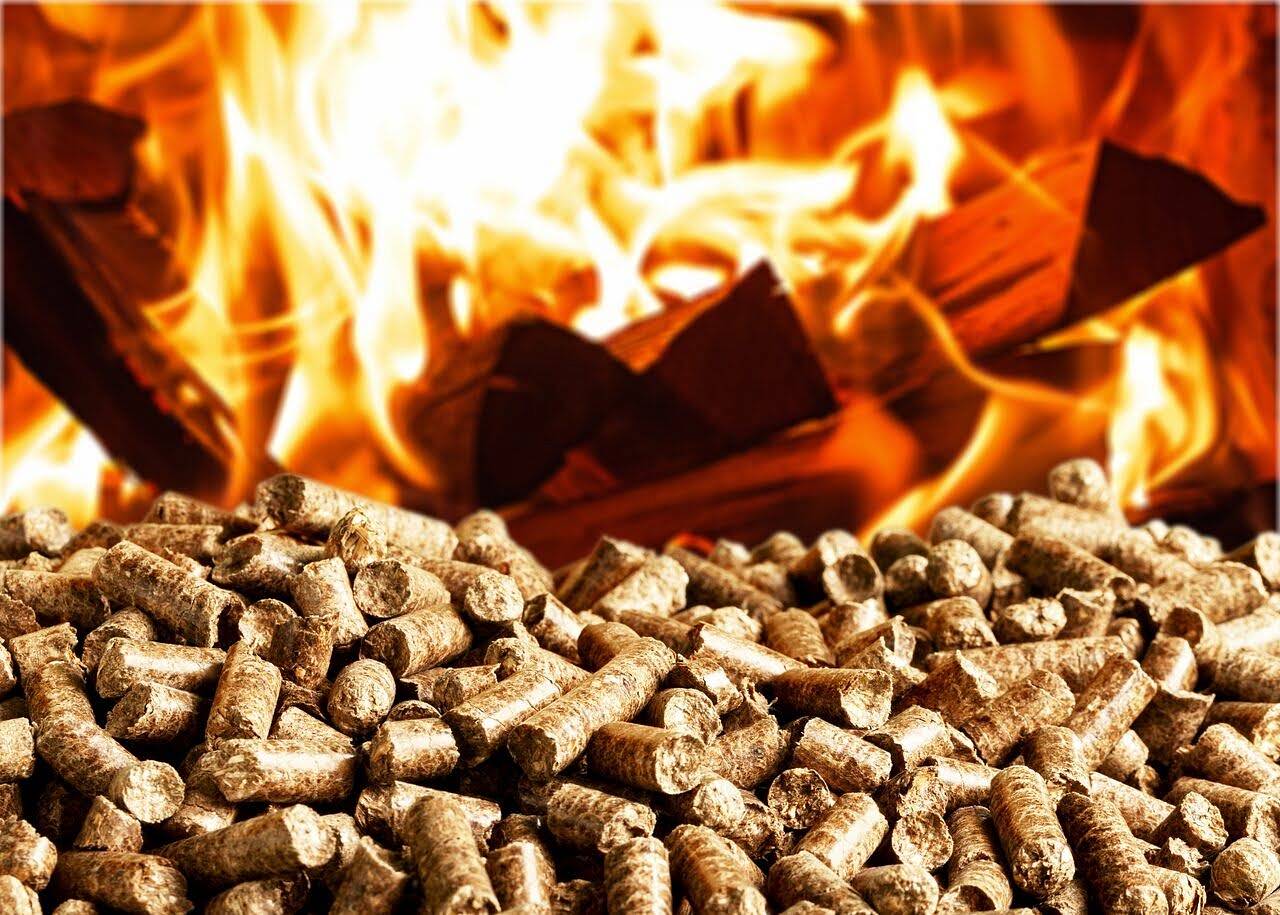 unnamed - 2026-02-28T140815.310.jpg